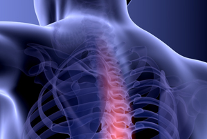 chiropractor in Rochester