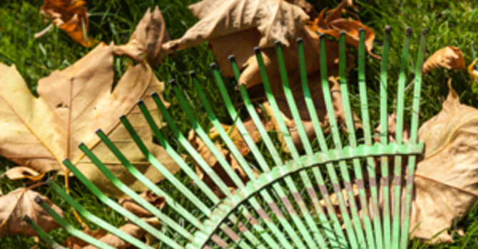 Preparing for Fall Clean Up image