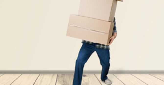 The Gift of a Healthy Spine: Things You Can Do to Promote Wellness image