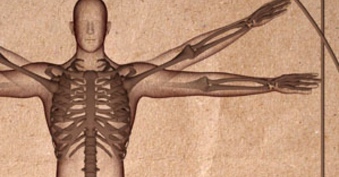What Is a Chiropractic Adjustment? image
